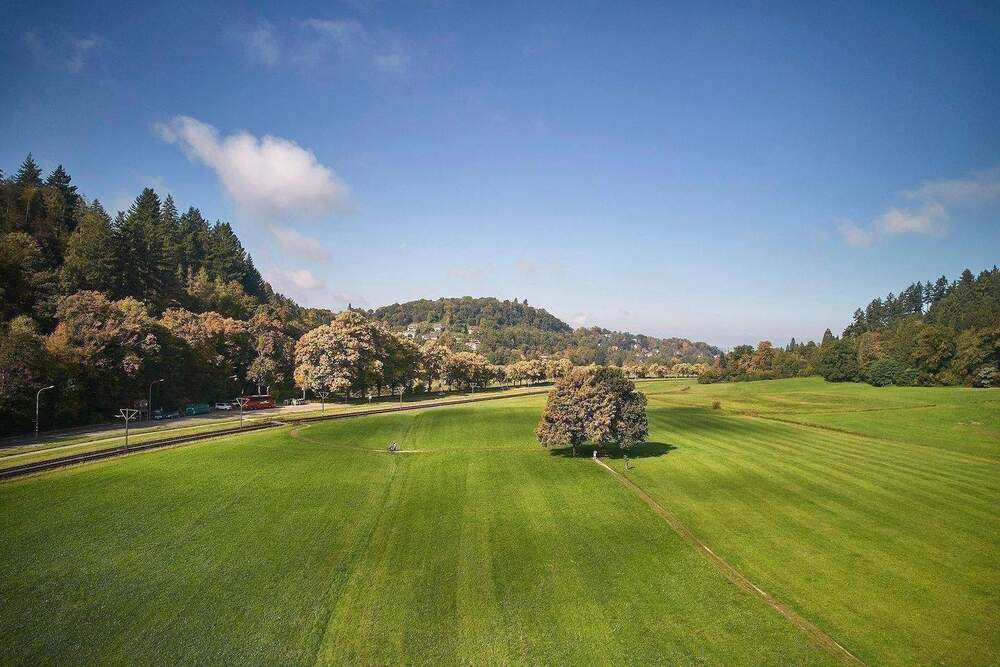 Thumbnail-Modernisiertes 4-Fam.Hs mietfrei + Bj. 1890 + Fabrik-Loft-Etage + 405qm WNF + 528qm GS + gr. GartenGartenhaus + ideal f. Aufteilg