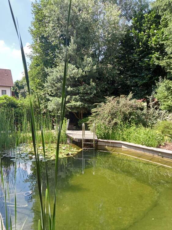 Thumbnail-Traumhaus mit Schwimmteich und viel Platz