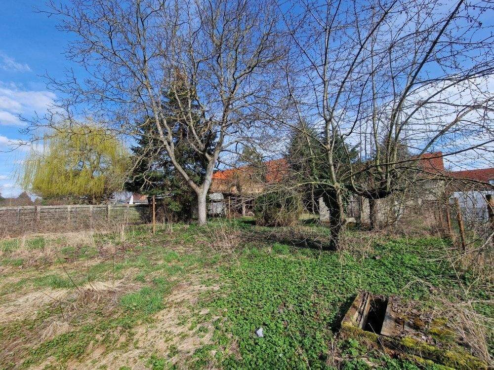 Thumbnail-Willkommen in Mosigkau