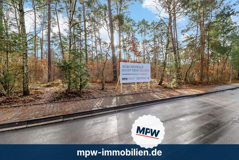 Thumbnail-Märchenwald sucht neue Helden - Prinzen, Feen & Abenteurer willkommen!