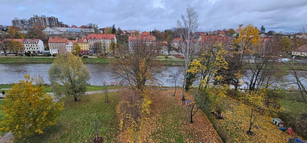Thumbnail-Selbstnutzer für 3 Raumwohnung in der Altstadt gesucht