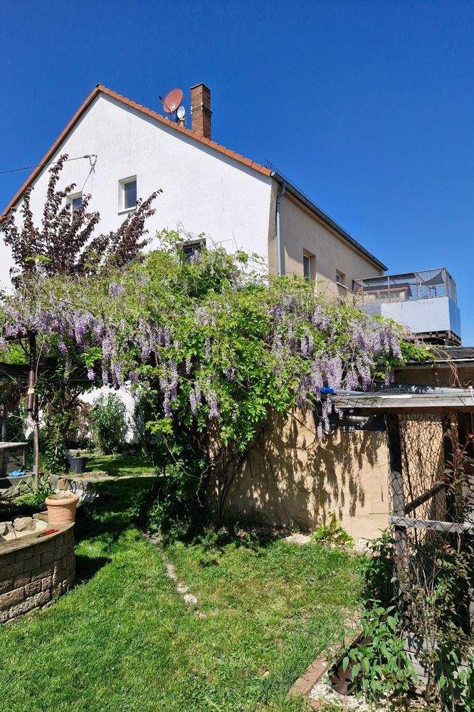 Thumbnail-Brandis: Idyllischer Ort zum Leben und Arbeiten mit viel Platz für Kreativität