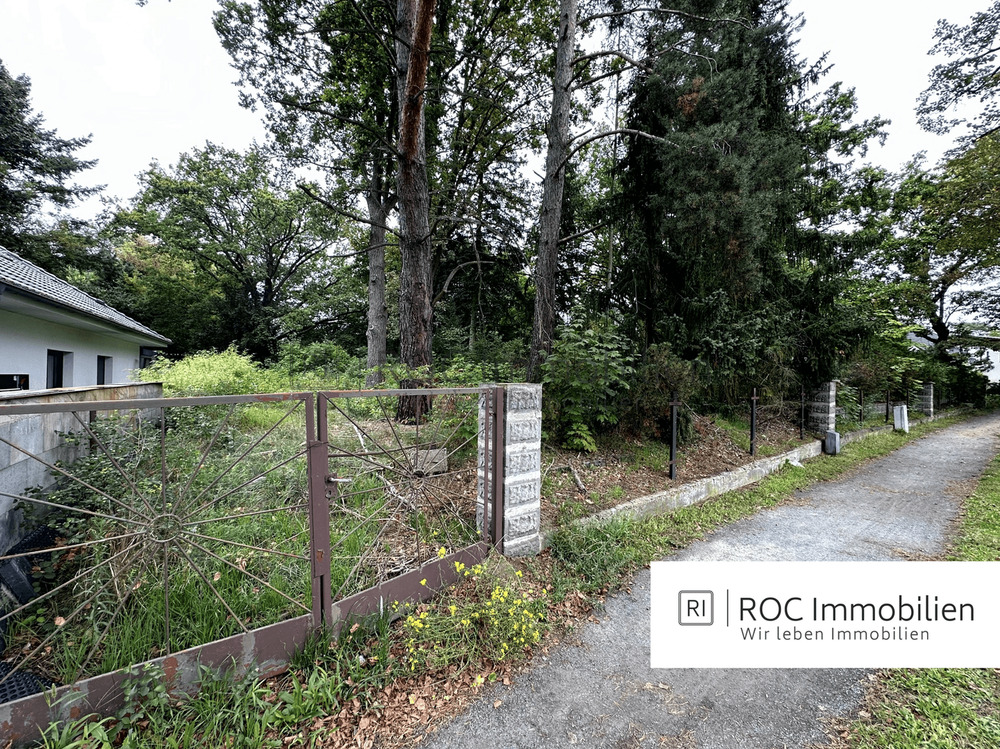 Thumbnail-Eins von zwei nebeneinander liegenden Baugrundstücken! Brandenburg-Zeuthen