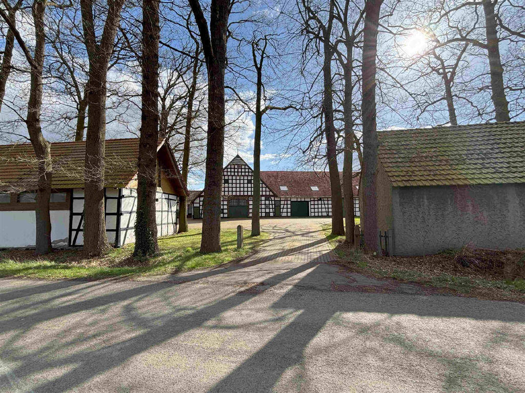 Bild1