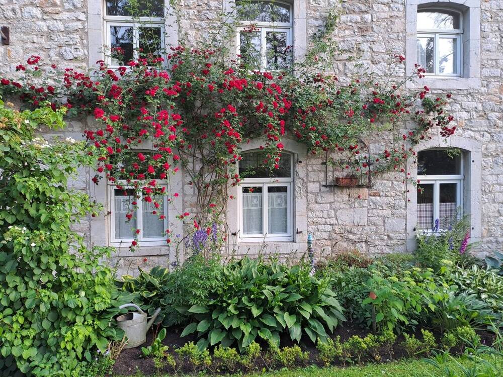 Thumbnail-Historisches Wohnhaus mit Einliegerwohnung und vielseitigen Nutzungsmöglichkeiten in Aachen-Hahn