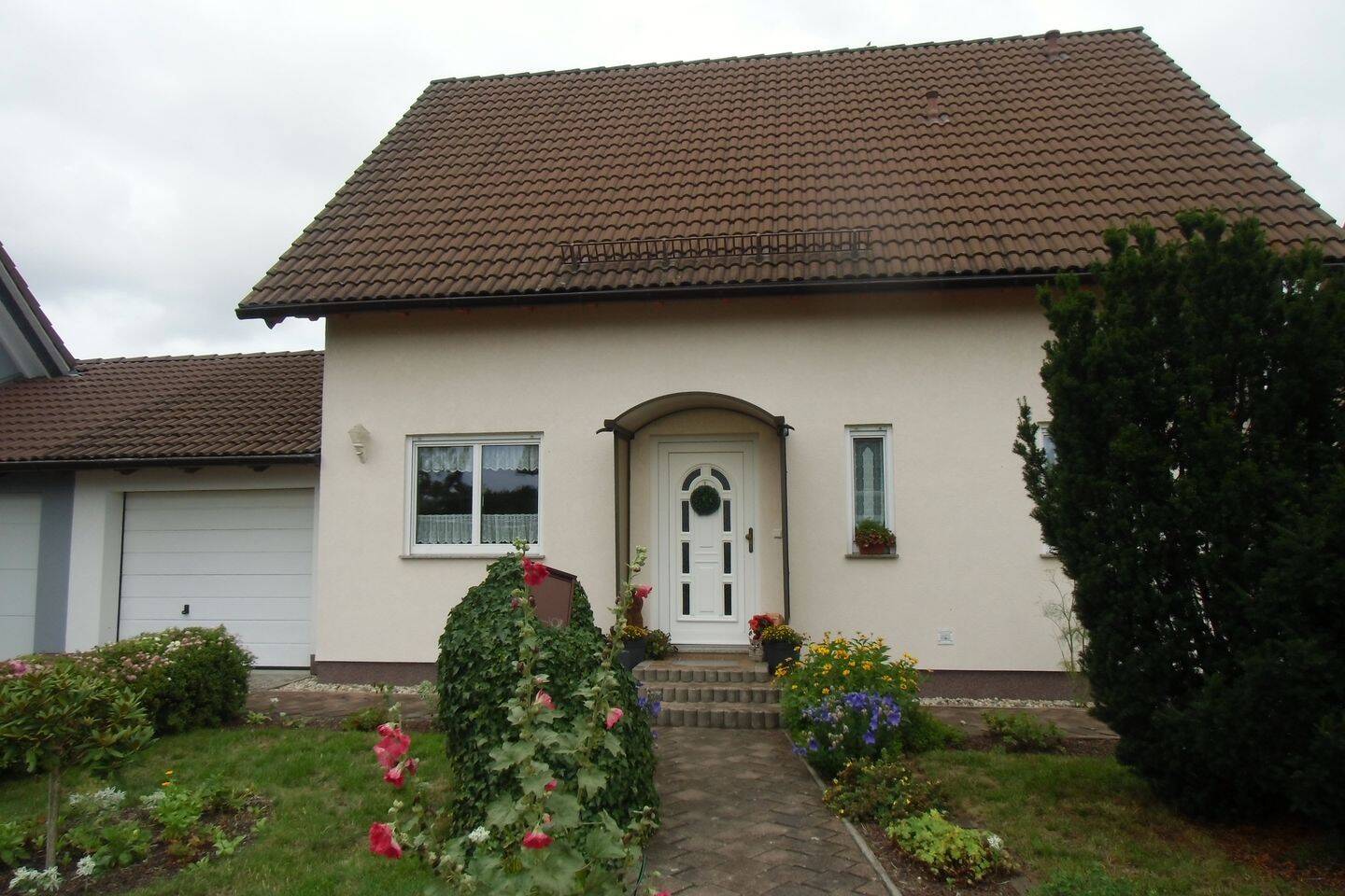 CIMG2851.JPG