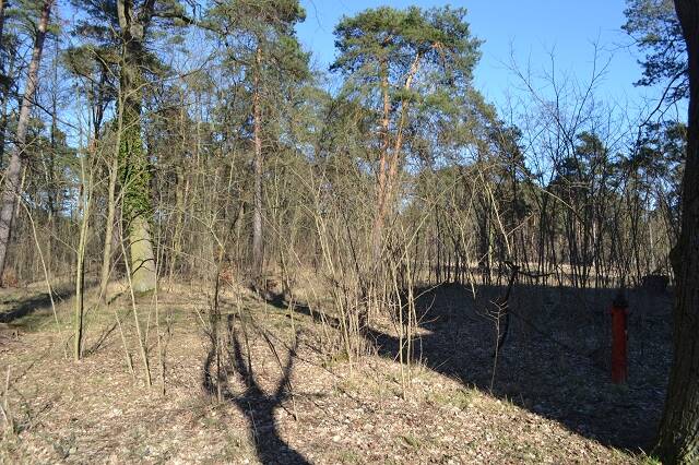 Thumbnail-Baugrund für MFH oder EFH auch Teilflächenankauf möglich