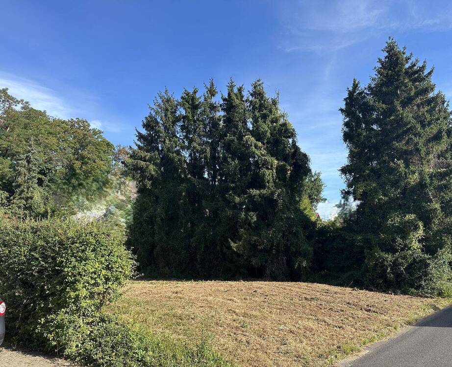 Thumbnail-Tolles Baugrundstück in 52379 Langerwehe -VB-