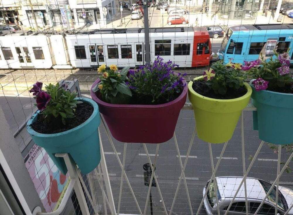 Thumbnail-*Barbarossaplatz* Bezugsfreie 5-Zi-Whg., 118m², 2.OG, Lift, 2 Bäder, Stellpl., provisionsfrei