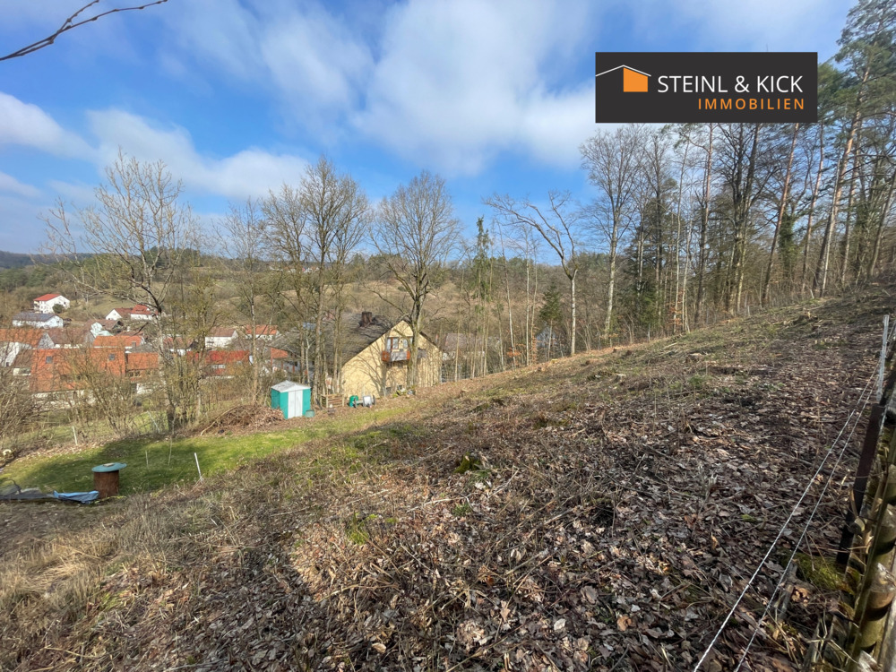 Thumbnail-Grundstück in Weigendorf