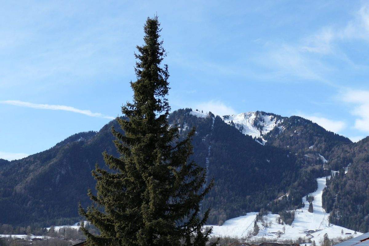 Thumbnail-Wohnen wie im Haus: Geräumige Split-Level-Wohnung