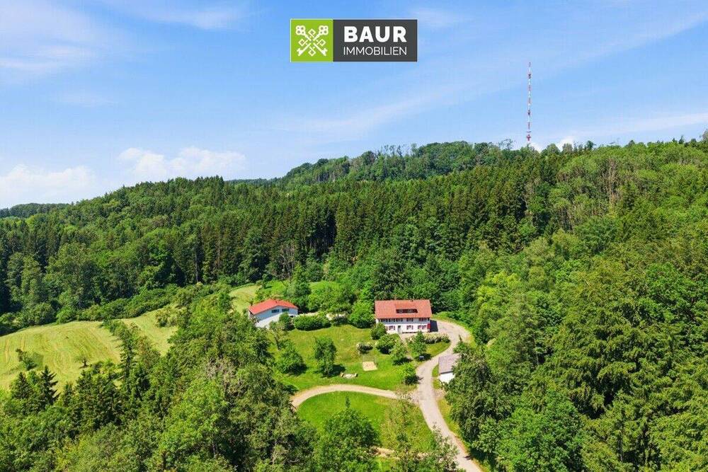 Thumbnail-Zwischen Lagerfeuerromantik und Großküche: Hier werden Visionen gekocht