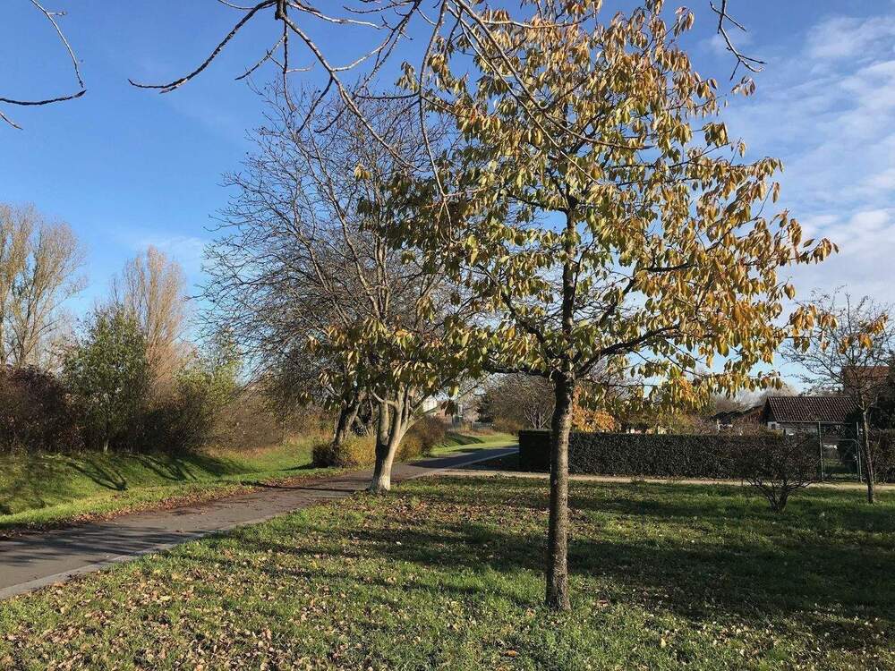 Thumbnail-Unweit vom Bahnhof Spandau, eine wunderbare sonnige, grüne und ruhige Oase!
