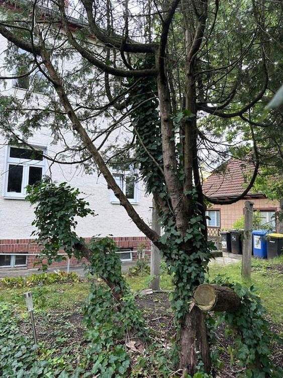 Thumbnail-Ausbaufähiges kleines Mehrfamilienhaus mit Baulandreserve in verkehrsgünstiger Mahlsdorf Lage