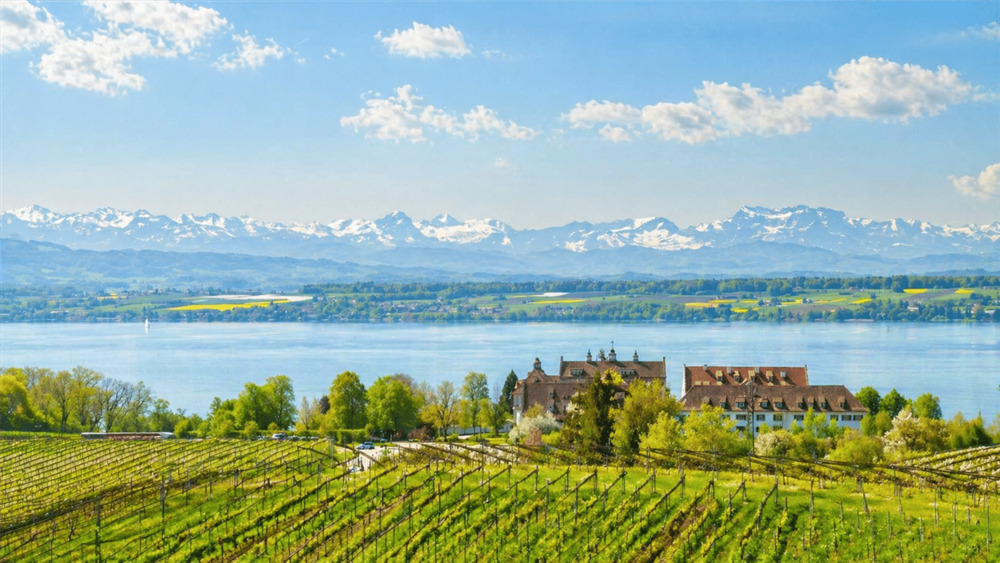 Thumbnail-Traumdomizil mit atemberaubendem Panoramablick auf Alpen und Bodensee