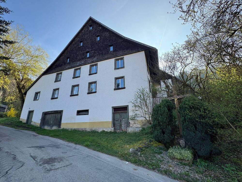 Thumbnail-Traum für Handwerker: Charmantes denkmalgeschütztes Bauernhaus in Dillendorf