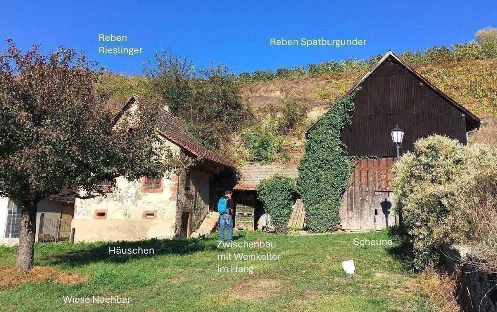 Thumbnail-Kl. Weingut Vogtsburg-Bickensohl-Breisach + Wohnhs + Scheune + 2Rebterrassen + Löskeller + Sanierungskosten ca. 290T€ + hohes Steuersparen Denkmal