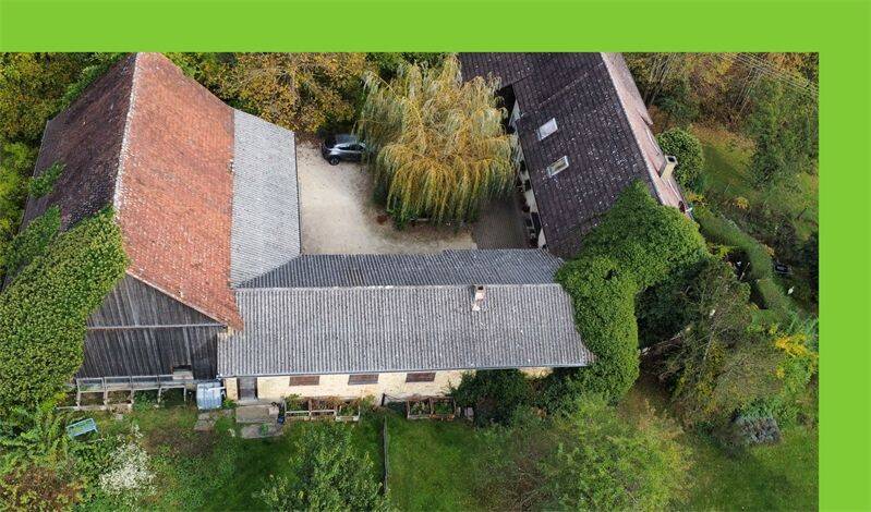 Rarität oberhalb des Bodensees