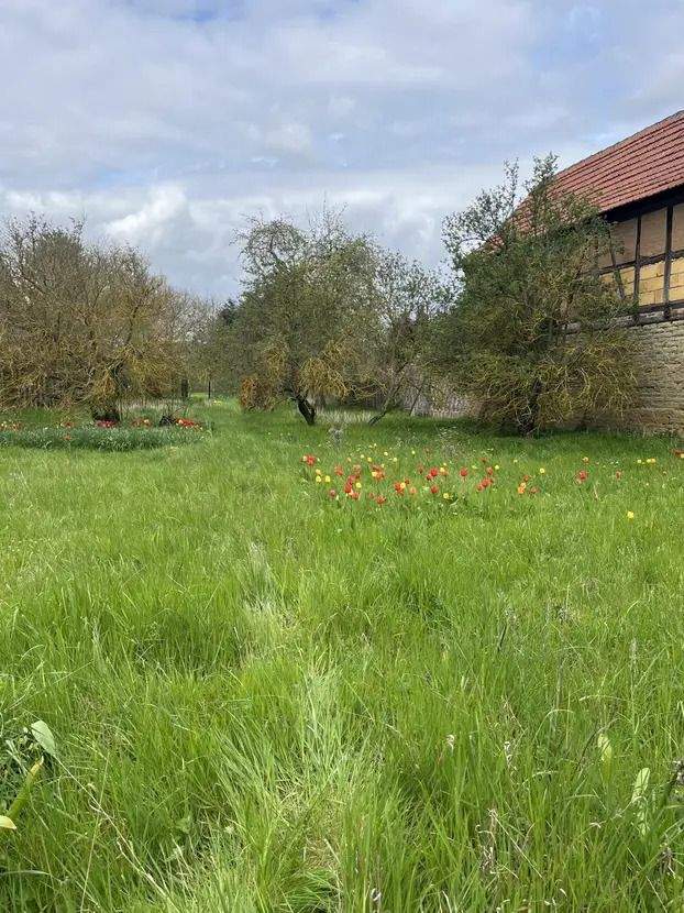 Thumbnail-Moderne Wohlfühlatmosphäre - Das Einfamilienhaus mit dem Plus an Ausstattung in Mühlhausen OT Grabe