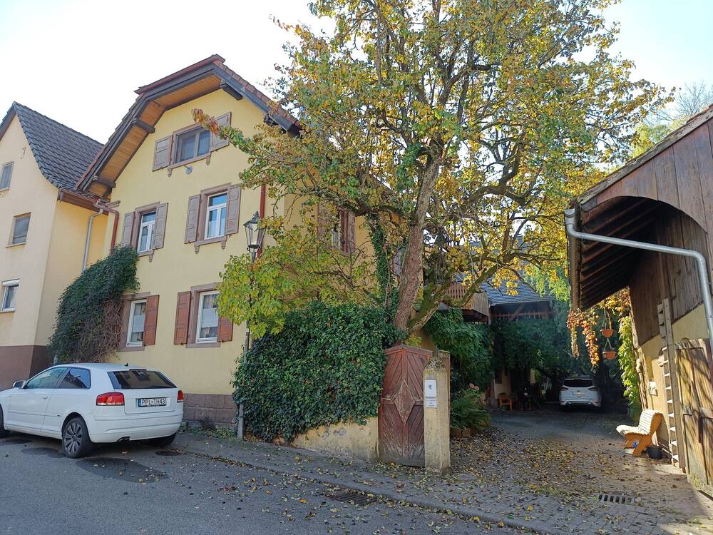 Thumbnail-Ehemaliger Winzerhof mit Nebengebäuden