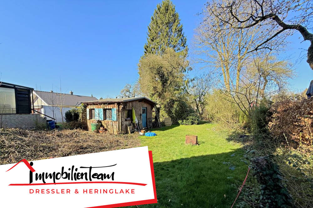 Blick in den Garten
