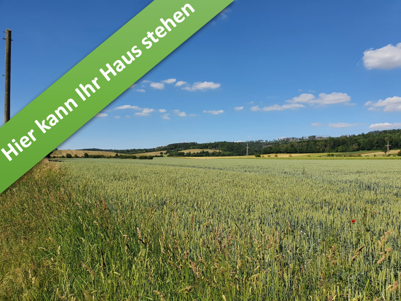 Thumbnail-Familienleben auf einer Ebene im kommenden Baugebiet in Münchehof.