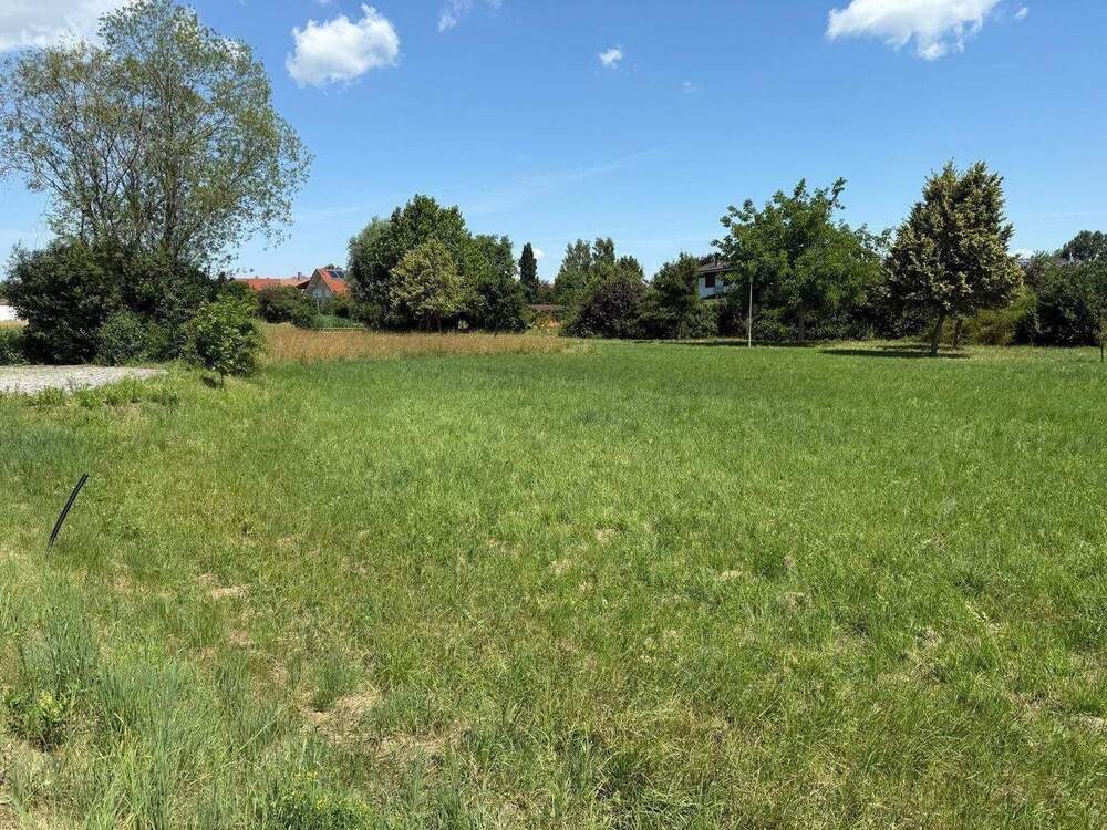 Thumbnail-992 m² Baugrundstück für EFH oder ZFH in Landau an der Isar