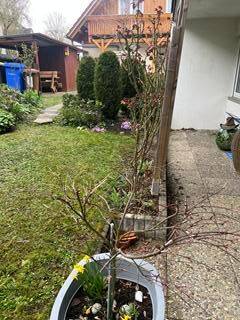 Thumbnail-4-Zimmerwohnung in Veitshöchheim