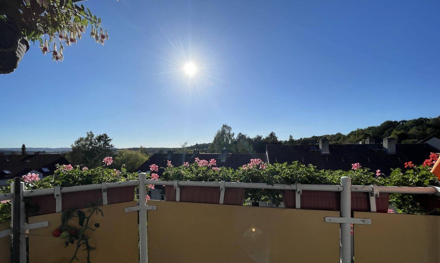 Thumbnail-Sie sind jung, junggeblieben, freiheitsliebend und schätzen Privatsphäre?