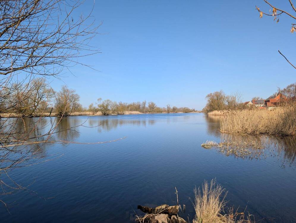 Thumbnail-Im Natur-und Sternenpark Westhavelland leben......