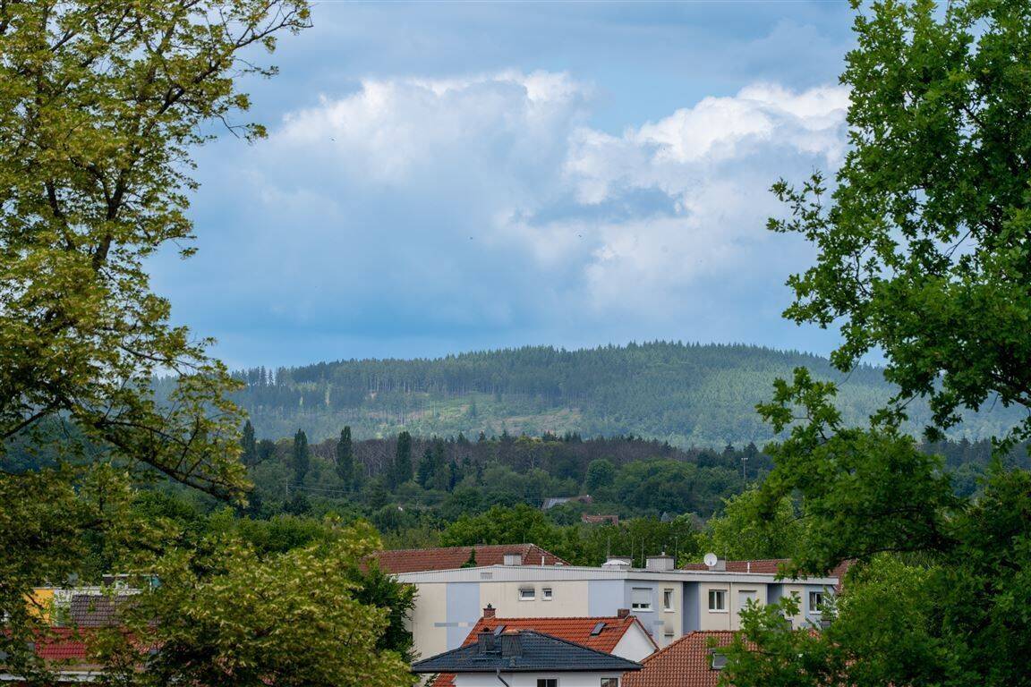 Ausblick