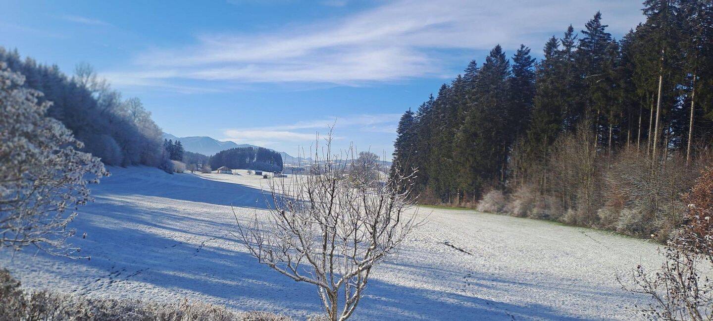 Thumbnail-Einfamilienhaus im Allgäu