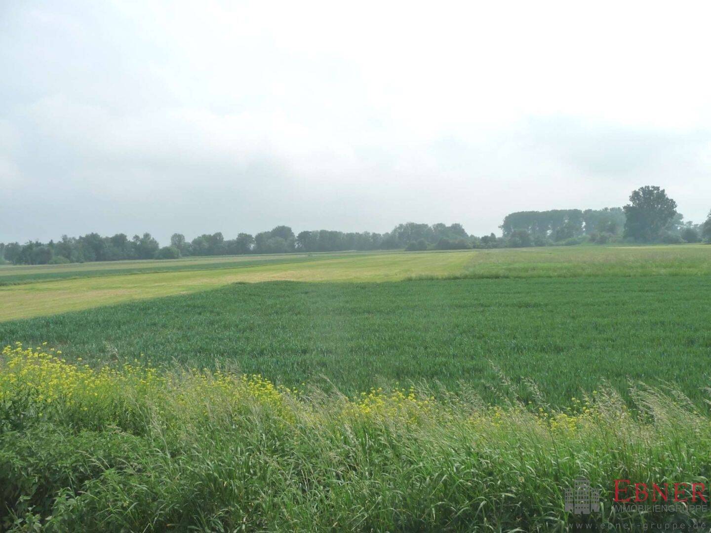 Thumbnail-5.240 m² GrünlandAckerland bei Deggendorf