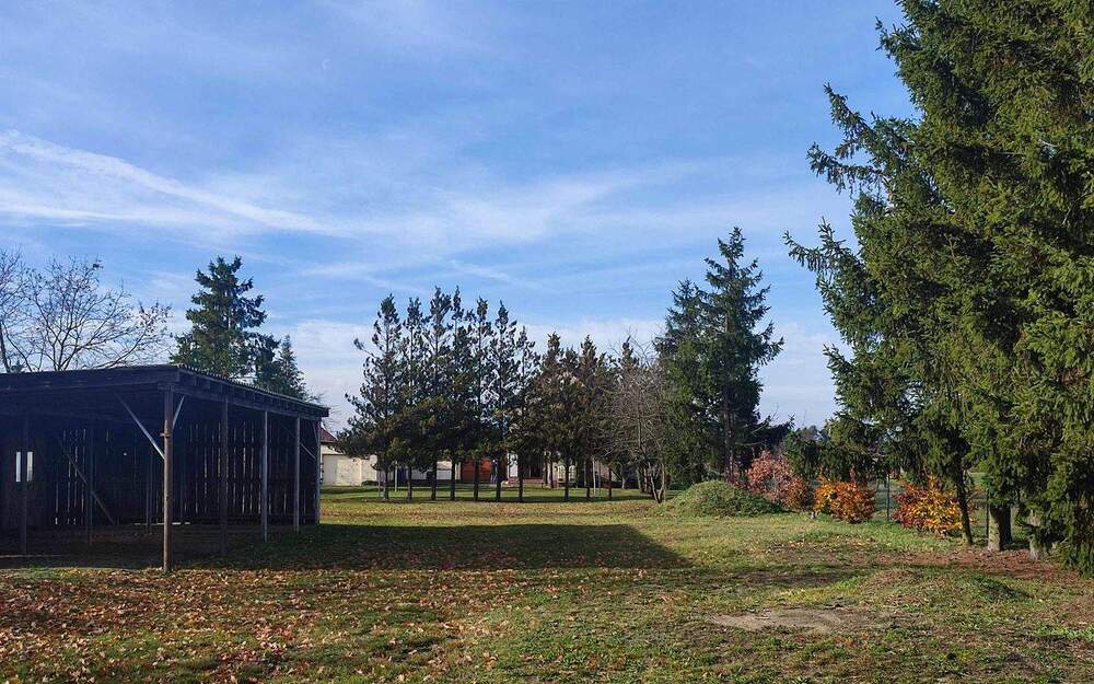 Thumbnail-Frühlingsprojekt: Wohnhaus mit großem Grundstück