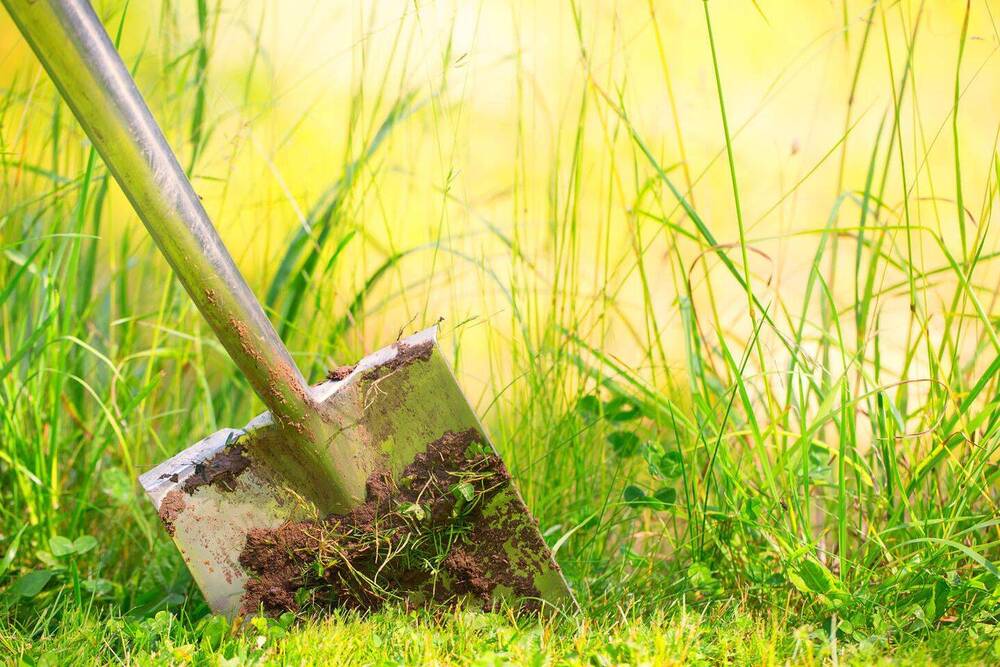 Thumbnail-Leingarten: - Baugelegenheit - Großzügiges Abrissgrundstück in guter Lage!