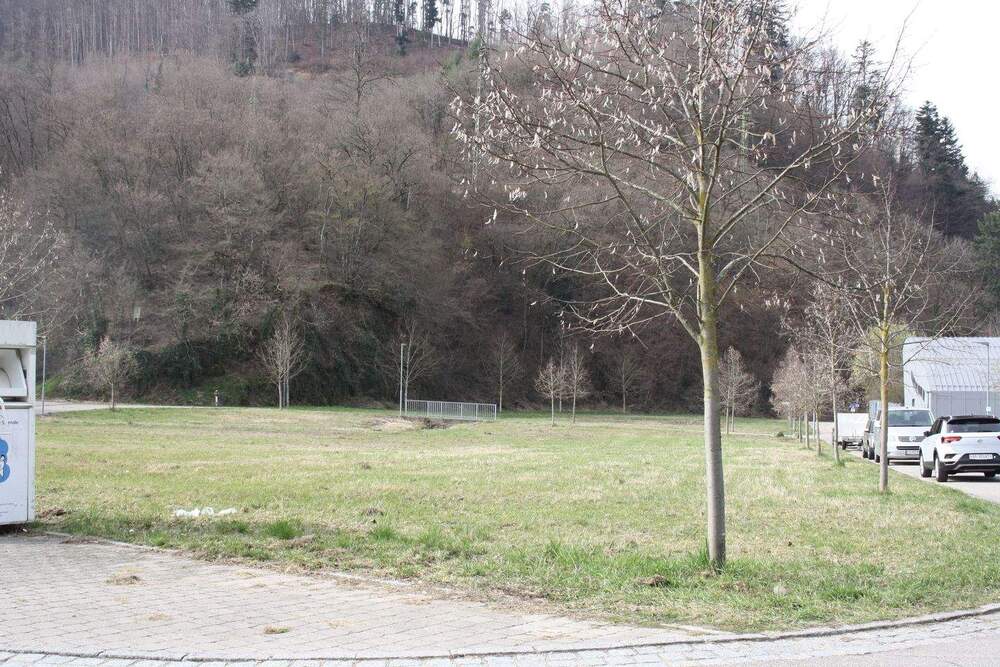 Thumbnail-Ein Grundstück das auch in Ihre Planung passt... sofort bebaubar....