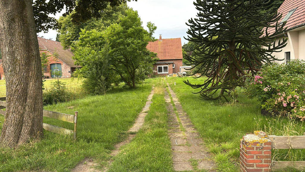 Bild1