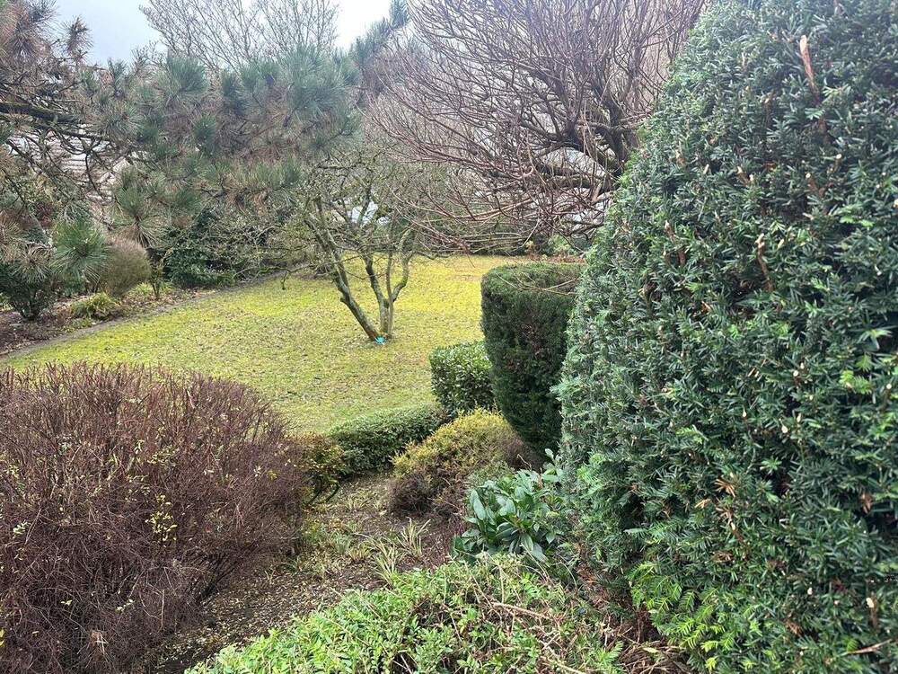 Thumbnail-In einer grünen Oase! Großes Einfamilienhaus mit zwei Einliegerwohnungen