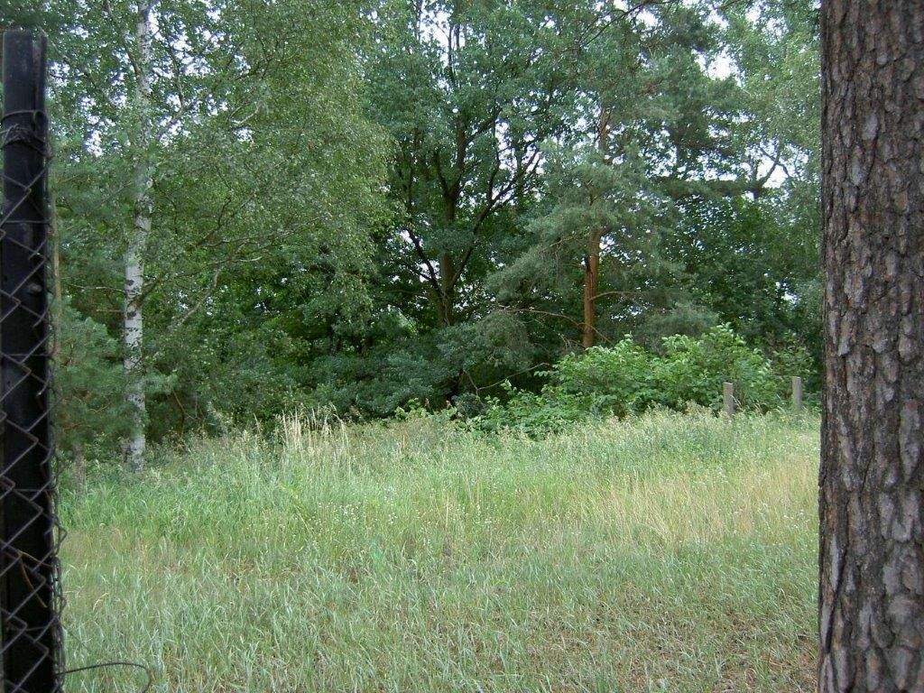 Thumbnail-großzügiges Baugrundstück im Zentrum von Senftenberg