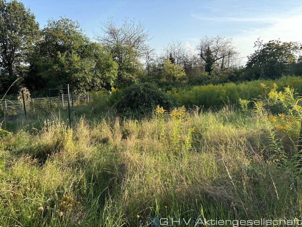 Thumbnail-Bauplatz in ruhiger Lage mit nach Süden ausgerichtetem Garten