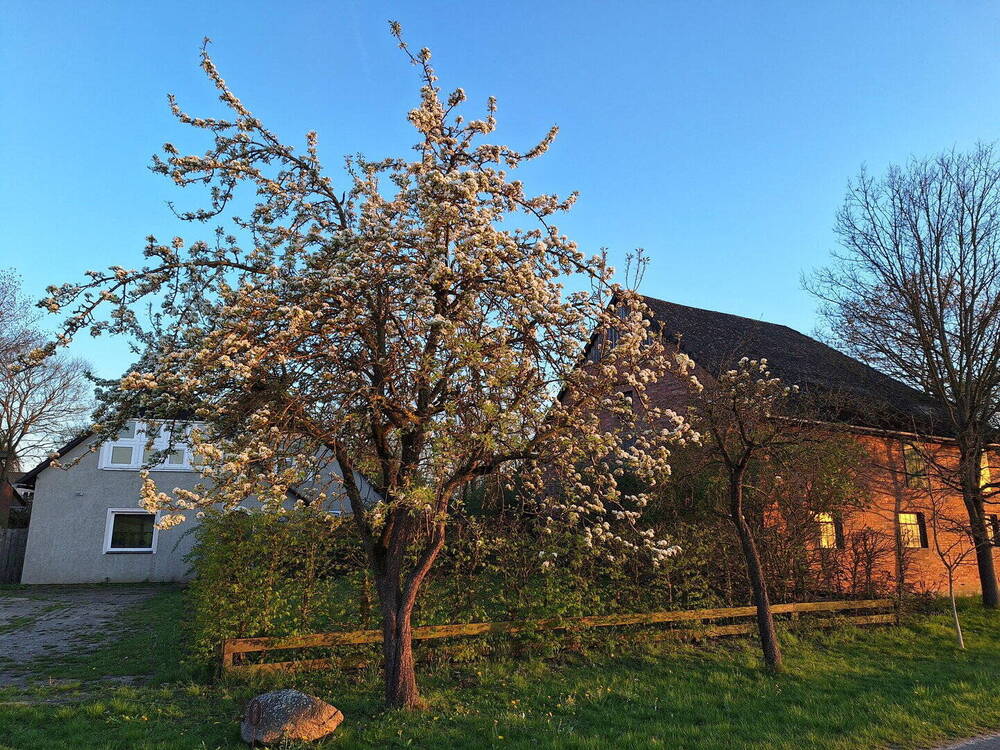 Thumbnail-Resthof mit Weide und großem Garten - ideal für Selbstversorger und Tierbesitzer - 1,37ha