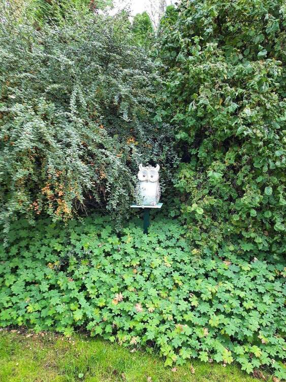 Thumbnail-Seltenes großes Freizeitgrundstück mit Wochenendhaus und Obstbäumen im Waldgebiet