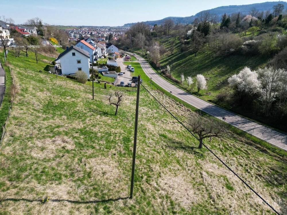 dji fly 20250405 105004 759 1743843075698 photo