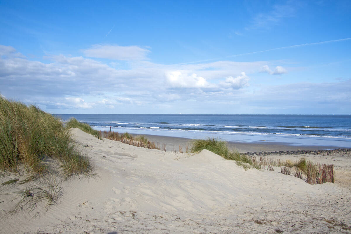 Thumbnail-Ostseenah - Energieeffiziente Familienheim in landschaftlich reizvoller Lage zu verkaufen