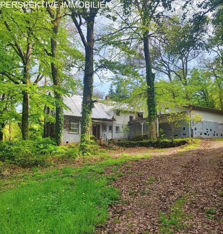 Thumbnail-Ideal für Individualisten - Anwesen in völliger Alleinlage