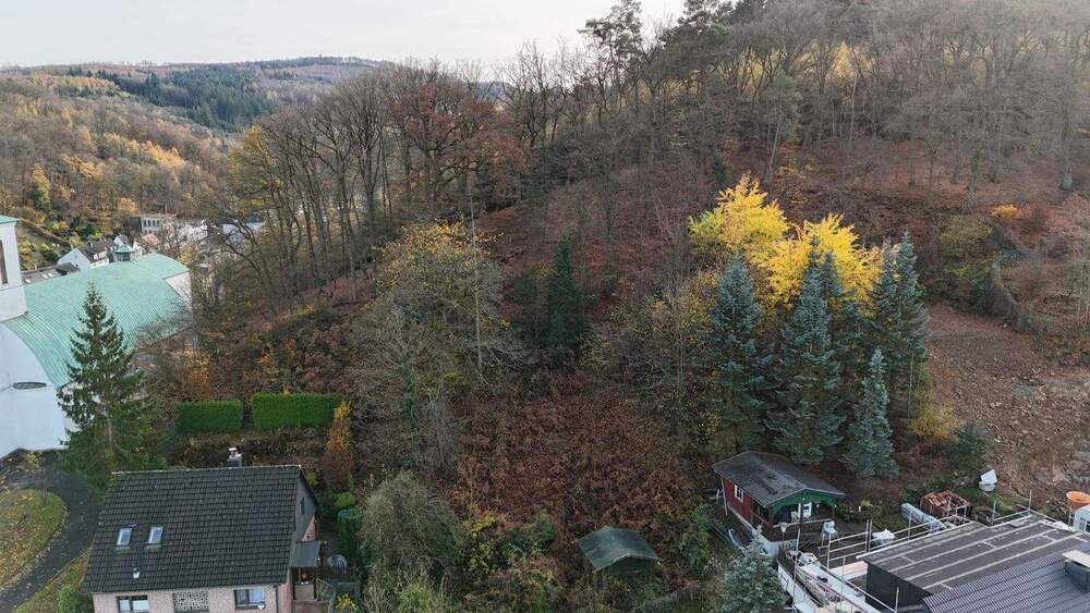 Thumbnail-Wohnen im Einklang mit der Natur: Baugrundstück inklusive eigenem Forstbesitz