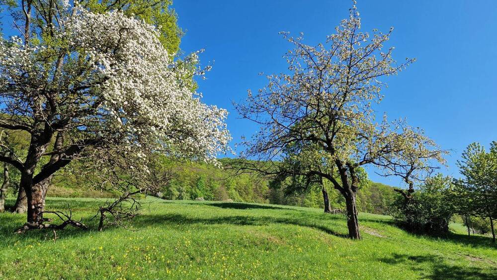 nähere Umgebung