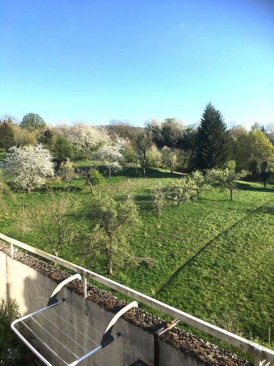 Blick vom Wohnzimmer