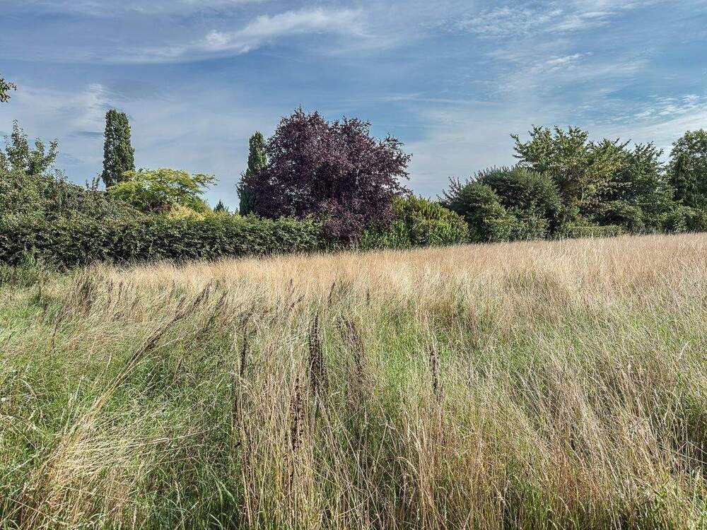 Thumbnail-gut gelegen - gut geschnitten - Baugrundstück in Frömern