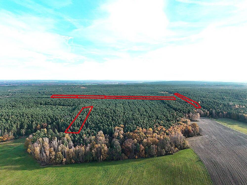 Thumbnail-Waldflächen mit ca. 43.020 m² Gesamtfläche